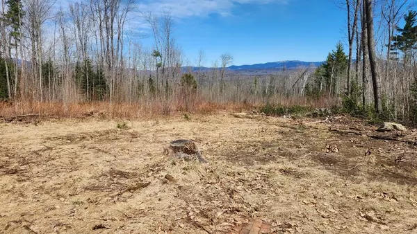 Phillips, ME 04966,Lot 009.1 Pinkham Hill RD