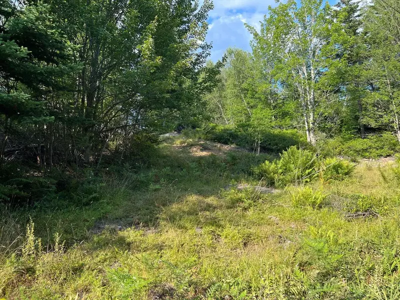 Lot #6 Zion Farm RD, Vinalhaven, ME 04863