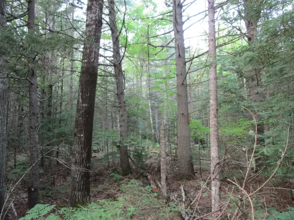 Passadumkeag, ME 04475,Map1L14-10 Bray CIR