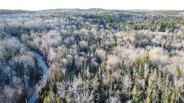 Machiasport, ME 04655,000 Collins Cove RD