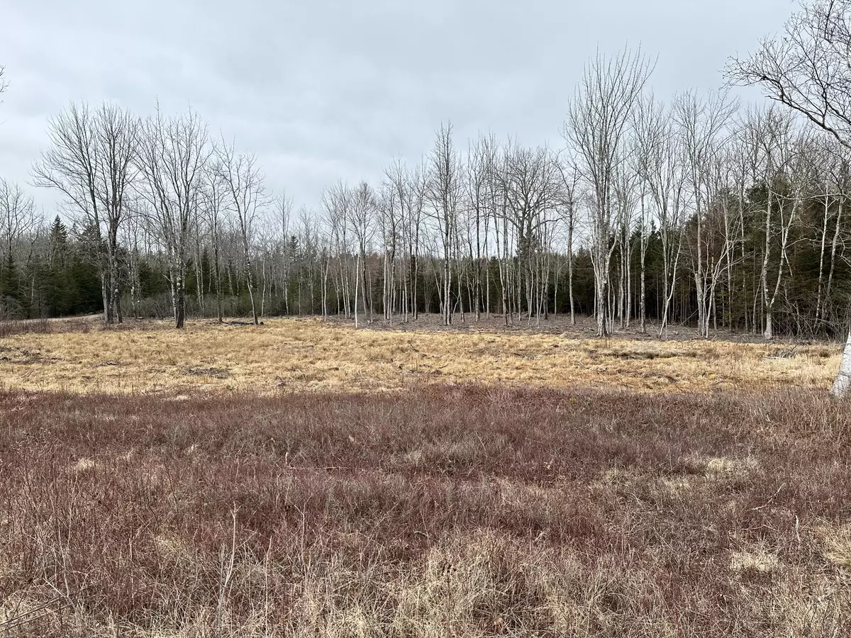 Surry, ME 04684,M23L7-C Newbury Neck RD