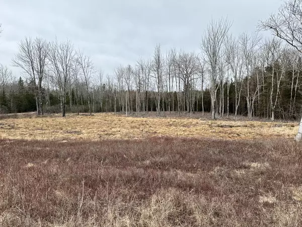 M23L7-C Newbury Neck RD, Surry, ME 04684