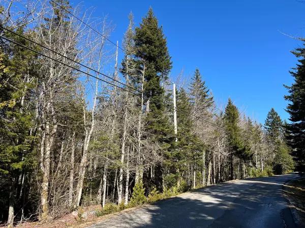 Machiasport, ME 04655,92 Yoho Head RD