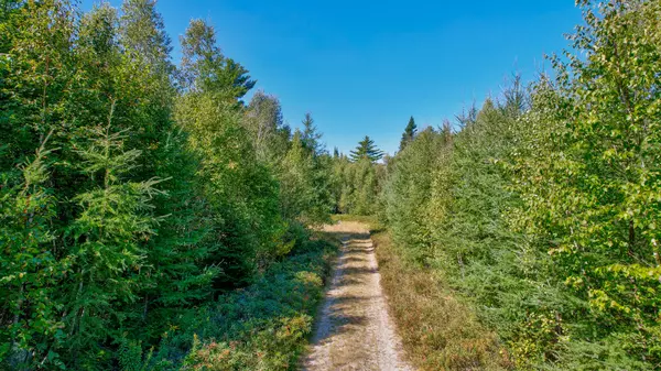 Harrington, ME 04643,91 Dorman RD