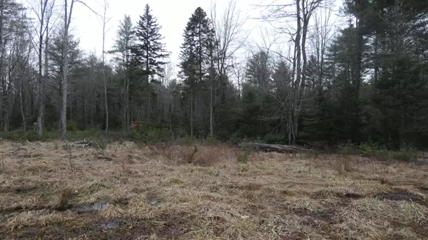 Lot # 8 Cranberry WAY, Bowdoinham, ME 04008