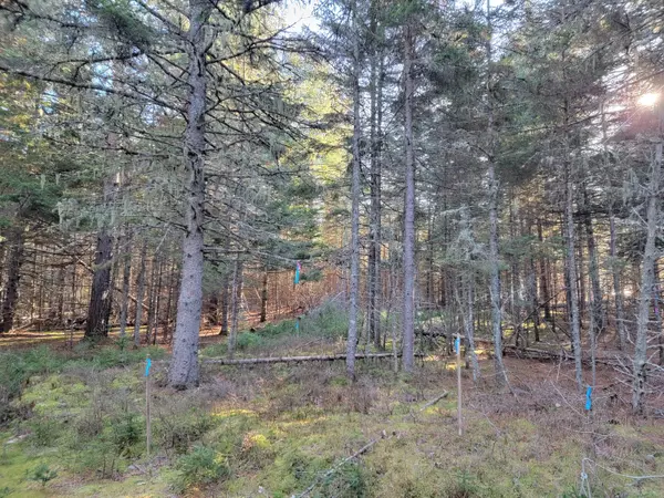 Coplin Plt, ME 04982,Lot 7 Cartulo RD