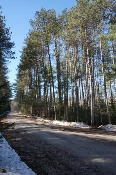 166 Plantation LN, Brownfield, ME 04010