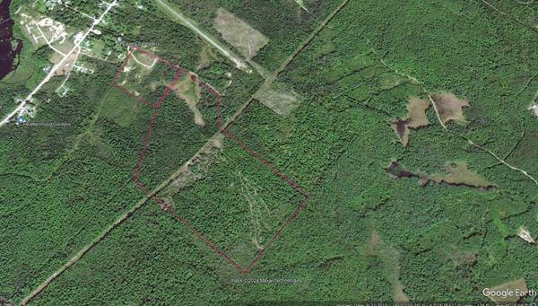 M1 Lot 2 pine tree LN, Baring Plt, ME 04694