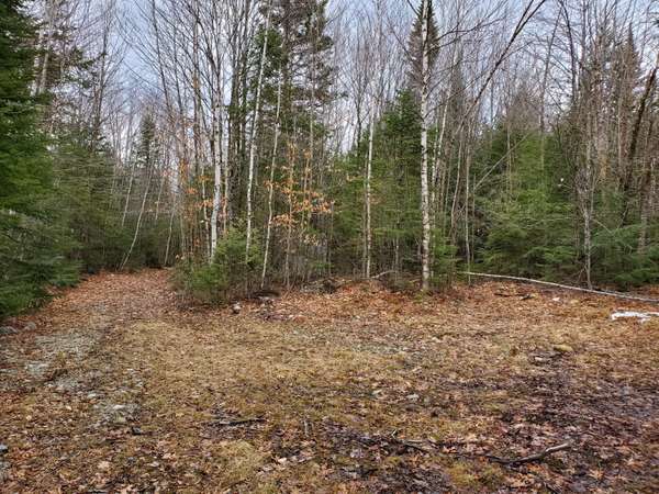 Lot I Partridge LN, Medford, ME 04463