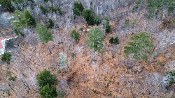 Bowerbank, ME 04426,Lot 6 Peterson RD