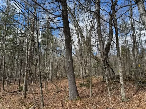 Concord Twp, ME 04920,SO081 Lot 1-19 Fletcher Mountain RD