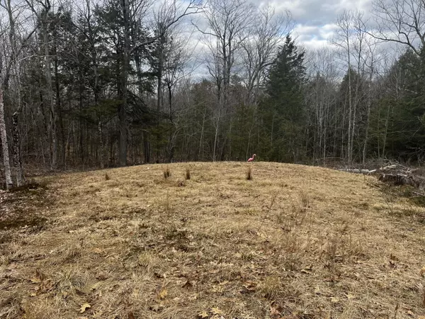 Liberty, ME 04949,10 Brown RD