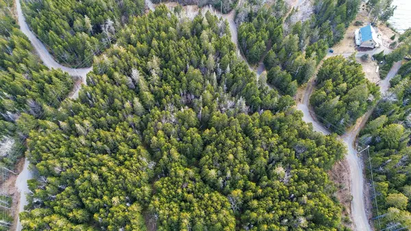 Roque Bluffs, ME 04654,0 Chambers Point RD