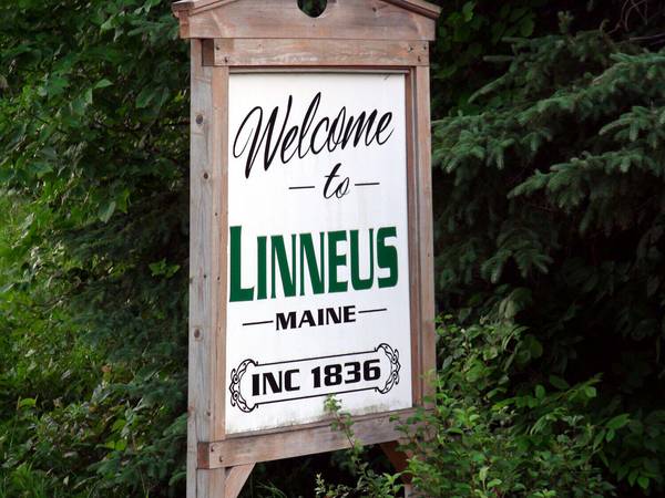 Linneus, ME 04730,146 New Limerick RD