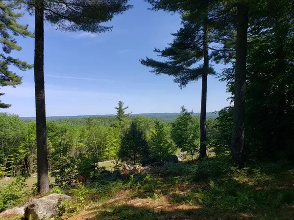 Waterford, ME 04088,Lot #15 McDaniels RD