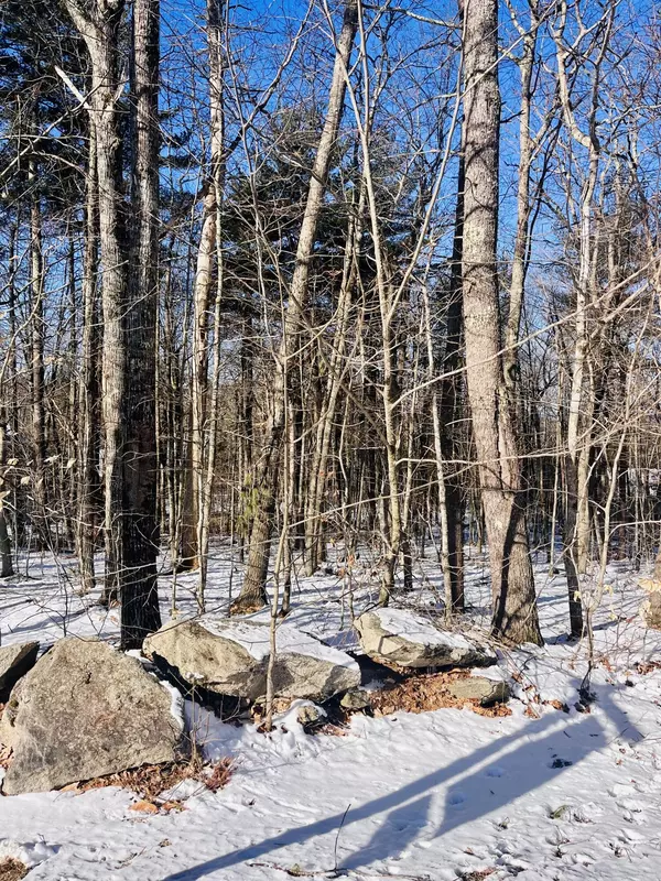 Naples, ME 04055,10 Quincy Adams CT