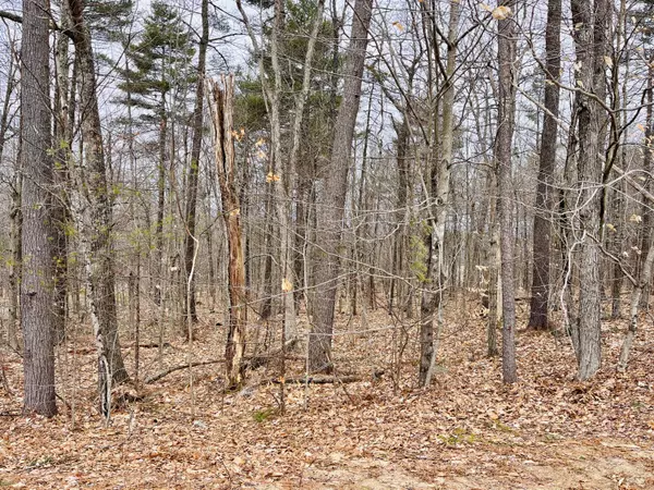 Naples, ME 04055,10 Quincy Adams CT