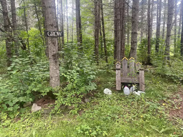 Woodland, ME 04736,590 Tabor RD