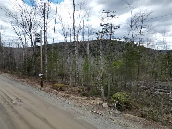 Lee, ME 04455,Lot 3 Arab RD