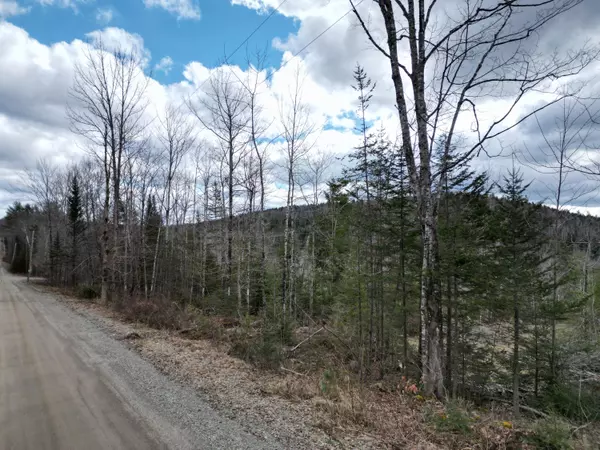 Lee, ME 04455,Lot 3 Arab RD