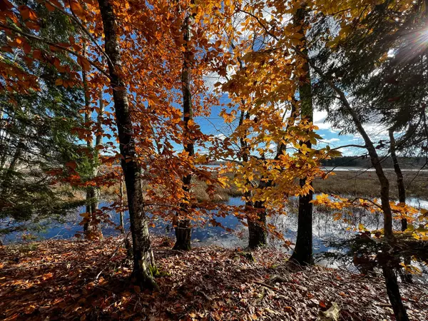 Litchfield, ME 04350,Lot #7 Hallowell RD