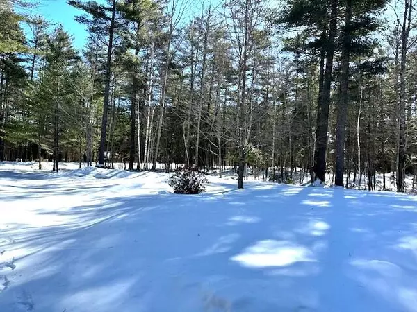 Kingfield, ME 04947,36 Narrow Gauge ST