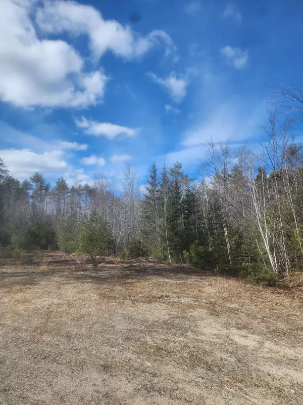 Paris, ME 04281,Lot 8 Sandy LN