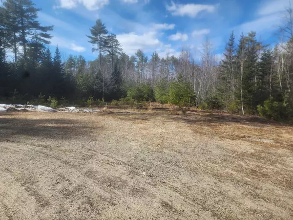 Paris, ME 04281,Lot 8 Sandy LN