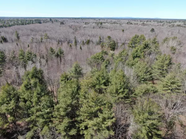 Greenbush, ME 04418,M11L3-4 Main Road