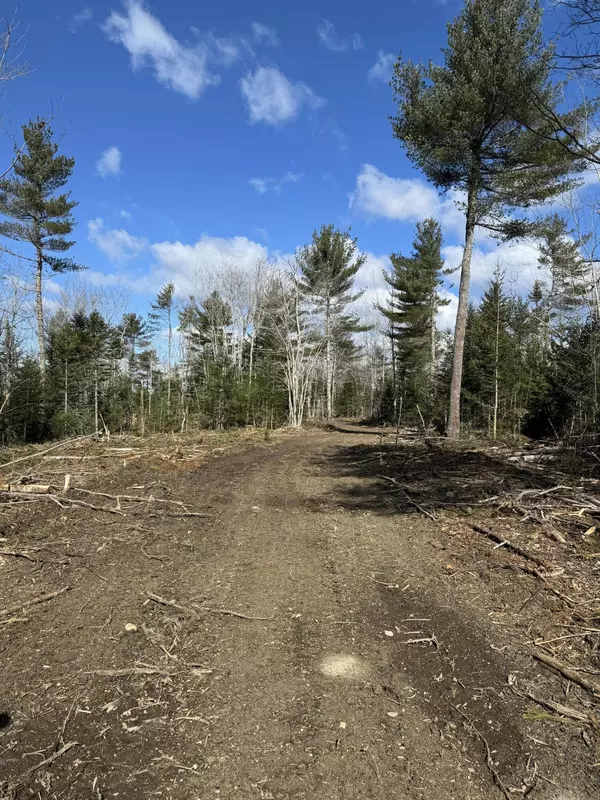 Surry, ME 04684,Lot 8 Jasper LN