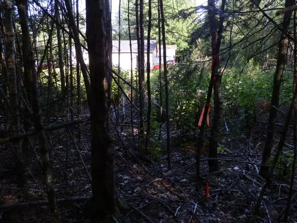 Greenfield Twp, ME 04418,0 Cross RD