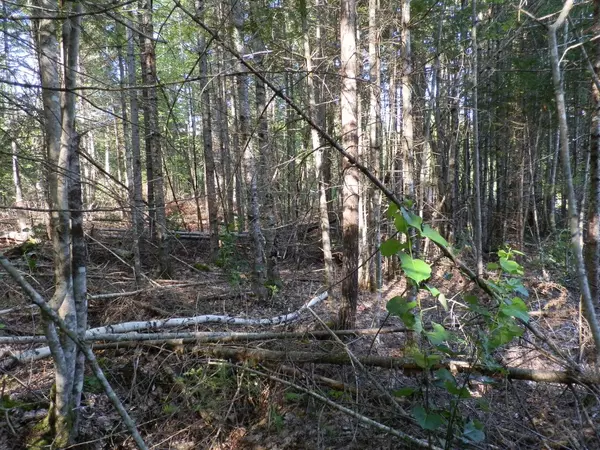 Greenfield Twp, ME 04418,0 Cross RD