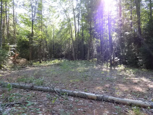 Greenfield Twp, ME 04418,0 Cross RD