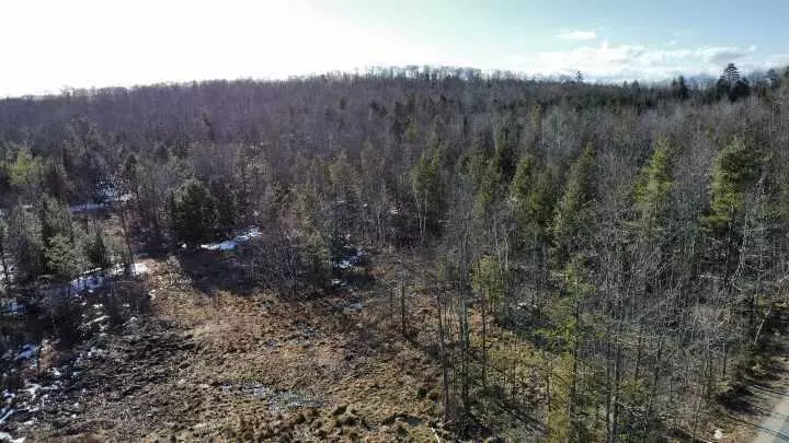 Minot, ME 04258,Lot 28 Brighton Hill RD