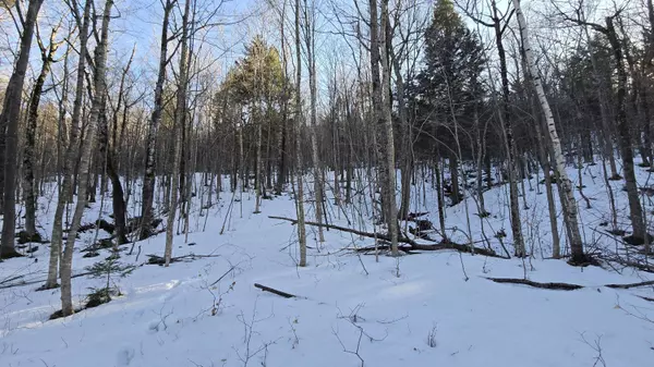 Carrabassett Valley, ME 04947,1005 Carrabassett DR