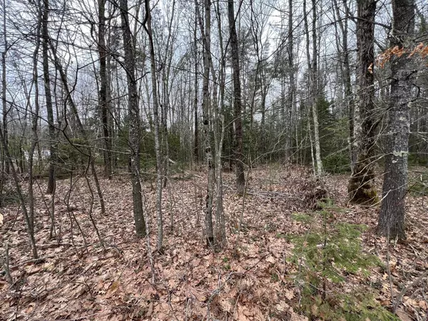 Dayton, ME 04005,0 New County RD