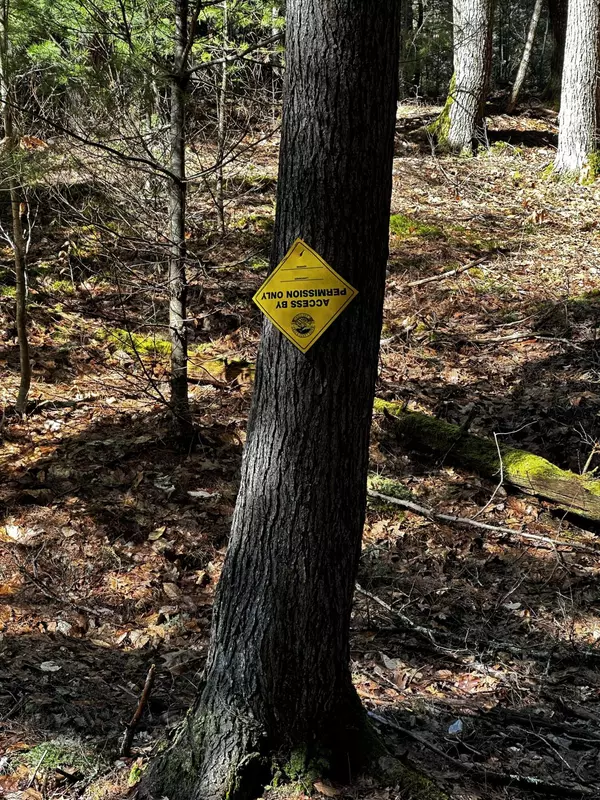 New Gloucester, ME 04260,Map11Lot30 Off Cobbs Bridge RD