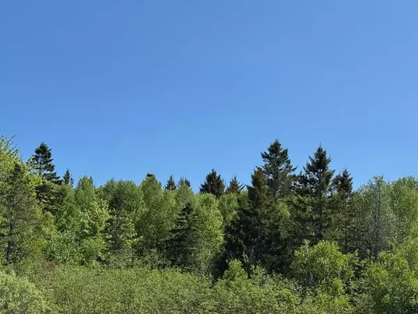 Eastport, ME 04631,104 County RD