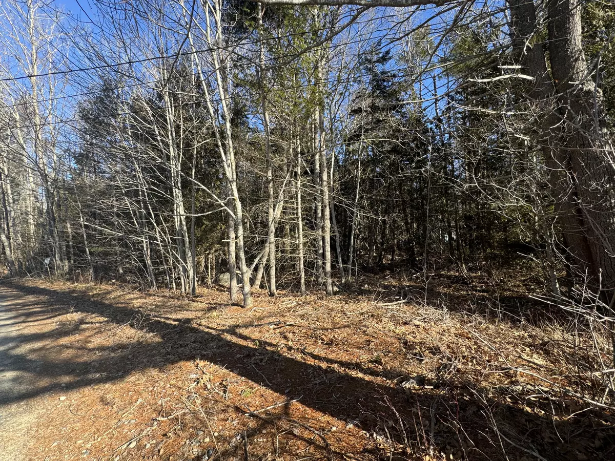 Westport Island, ME 04578,38 Hodgdon RD