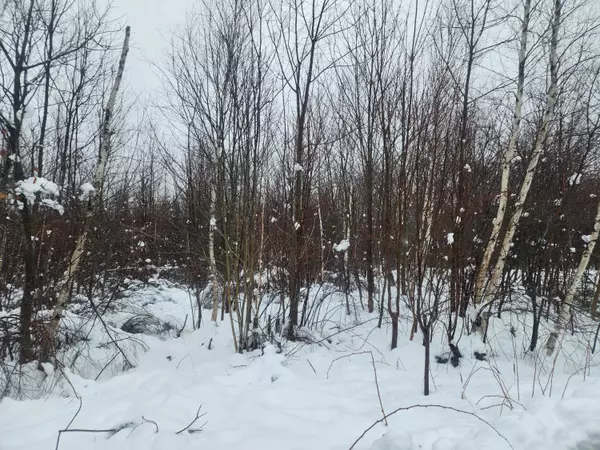 Northport, ME 04849,Lot 11 Cheri LN