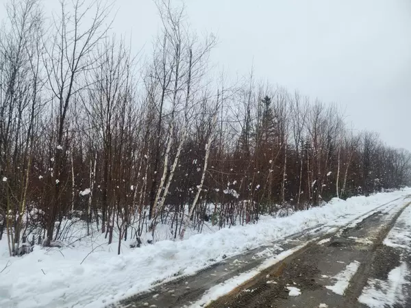 Lot 11 Cheri LN, Northport, ME 04849