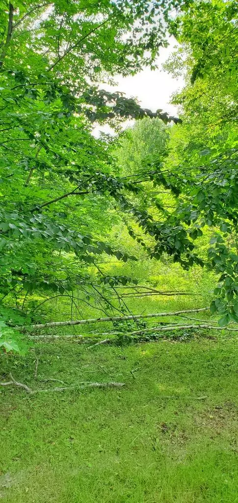 Chesterville, ME 04938,Lot 6 Sanborn Hill RD