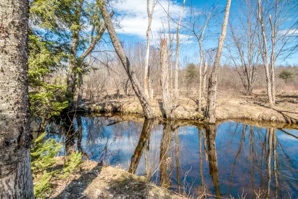 Stow, ME 04037,1015 Stow RD