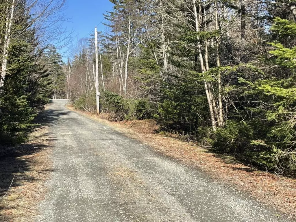 North Haven, ME 04853,LotF S Shore RD