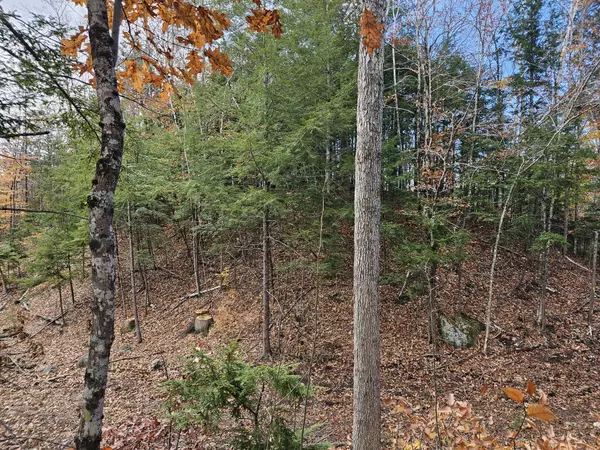 Waterboro, ME 04030,11 Old Alfred RD