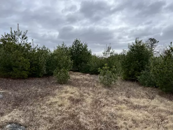 Lot # 15B Snows Cove RD, Sedgwick, ME 04676