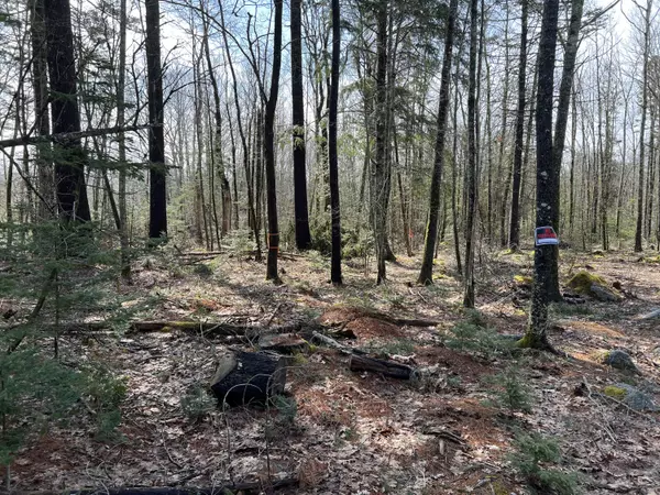 Orland, ME 04472,0 Acadia HWY