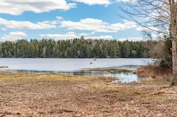 Mariaville, ME 04605,223 W Branch RD