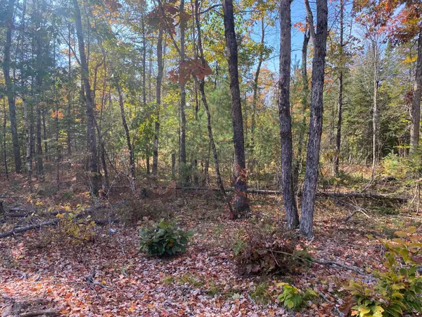 Lot #4 Sand Pond RD,  Baldwin,  ME 04024