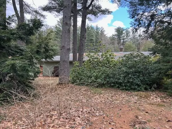 Orono, ME 04473,111 Forest Avenue